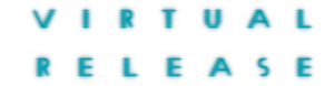 logo Virtual Release